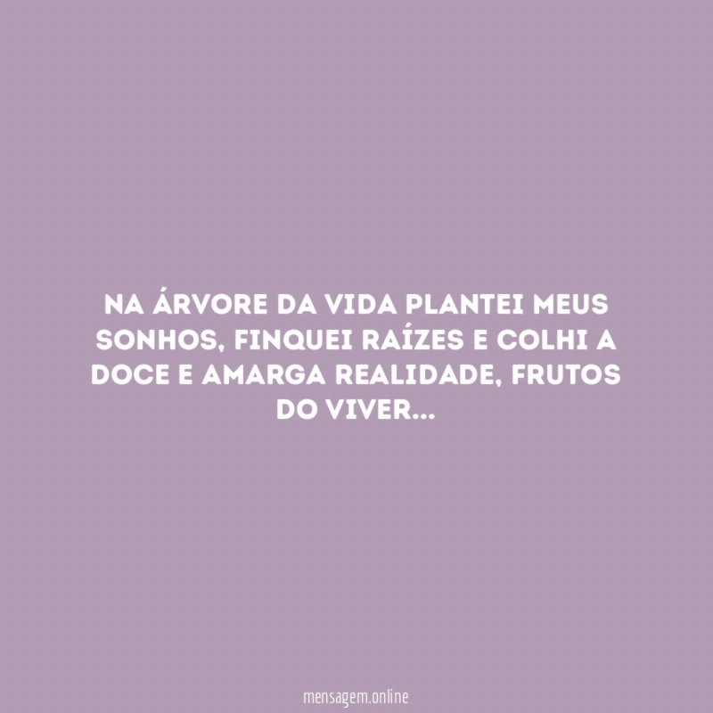 Na árvore da vida plantei meus sonhos