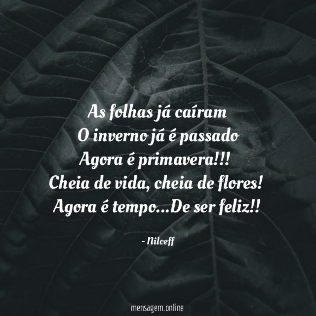 As folhas já caíram O inverno já é passado Agora é primavera