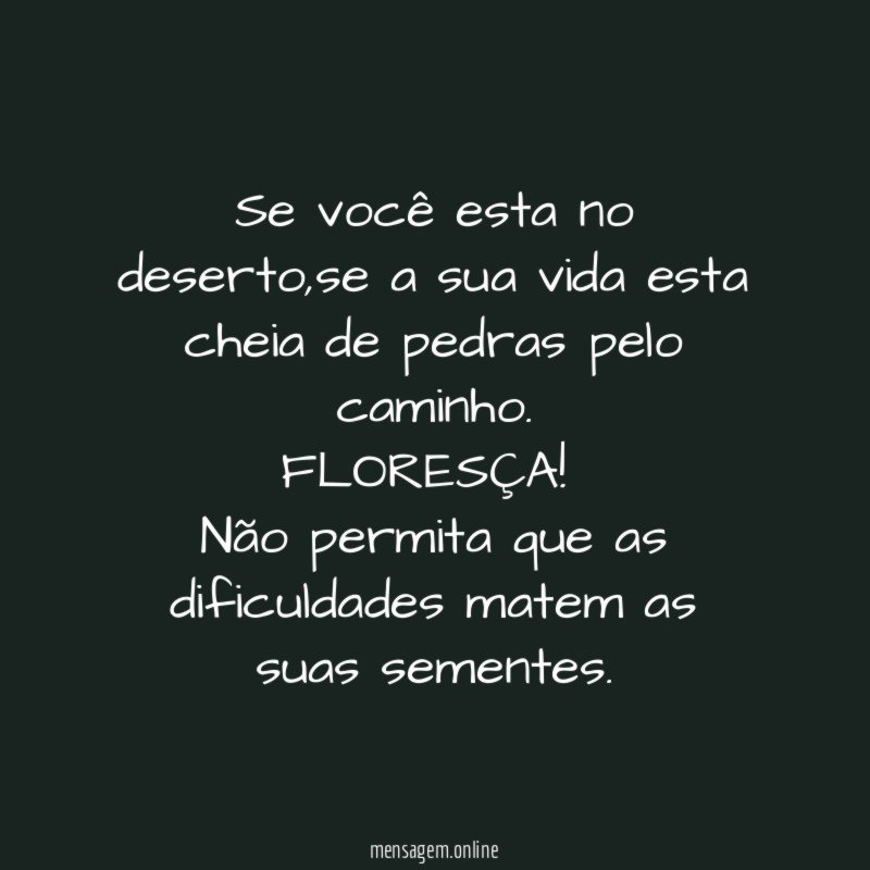 Se você esta no deserto