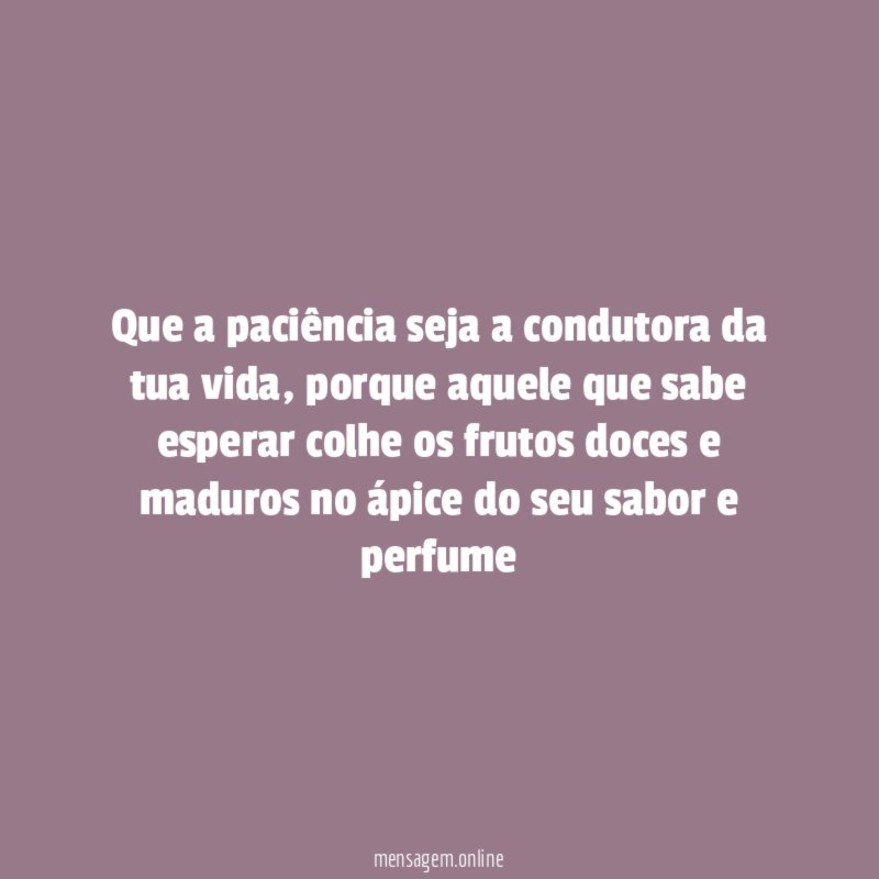 Que a paciência seja a condutora da tua vida