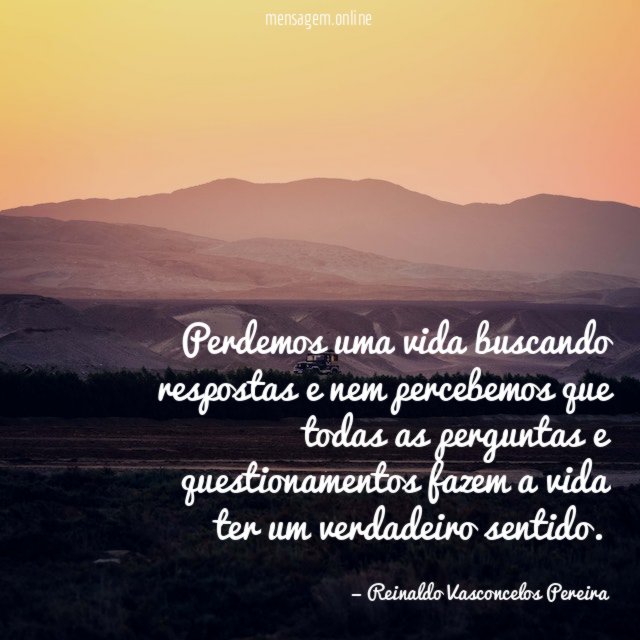 Perdemos uma vida buscando respostas e nem percebemos
