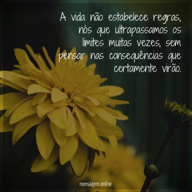 A vida não estabelece regras