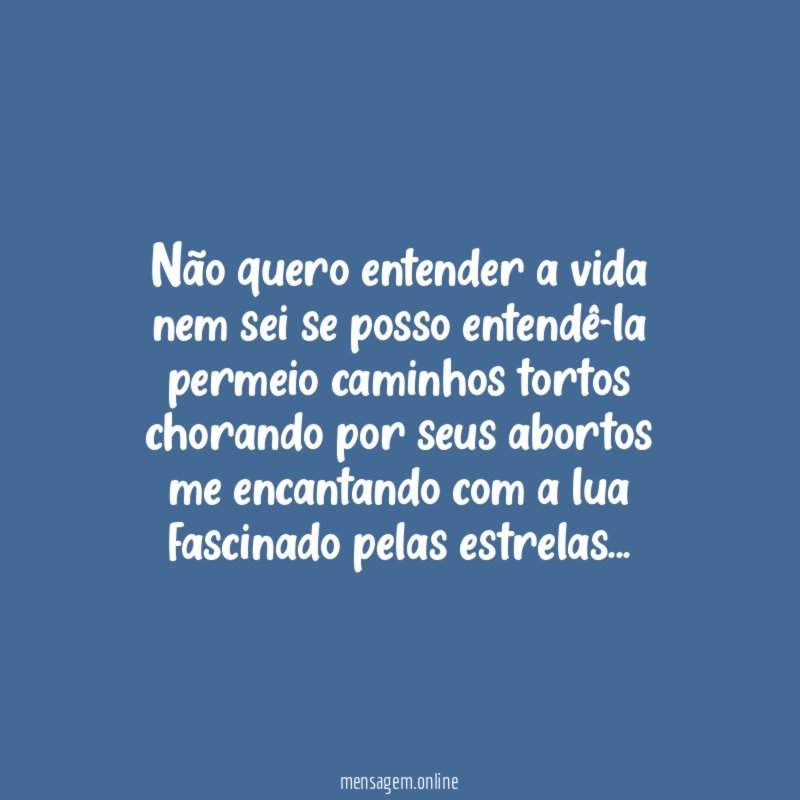 Não quero entender a vida nem sei se posso