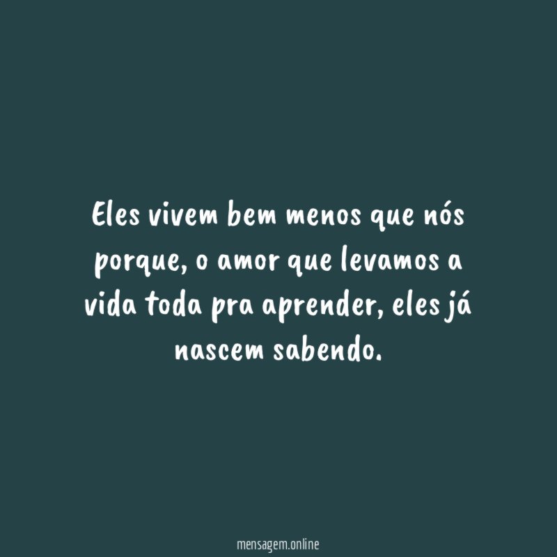 Eles vivem bem menos que nós porque