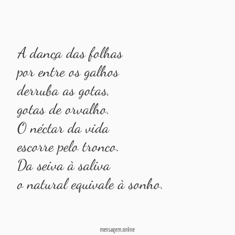 A dança das folhas por entre os galhos derruba as gotas