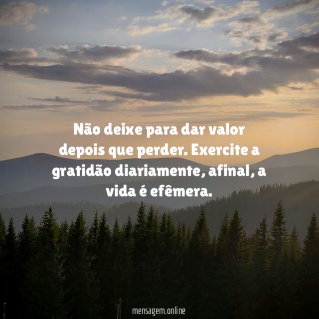 Não deixe para dar valor depois que perder