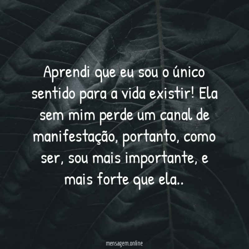 Aprendi que eu sou o único sentido para a vida existir