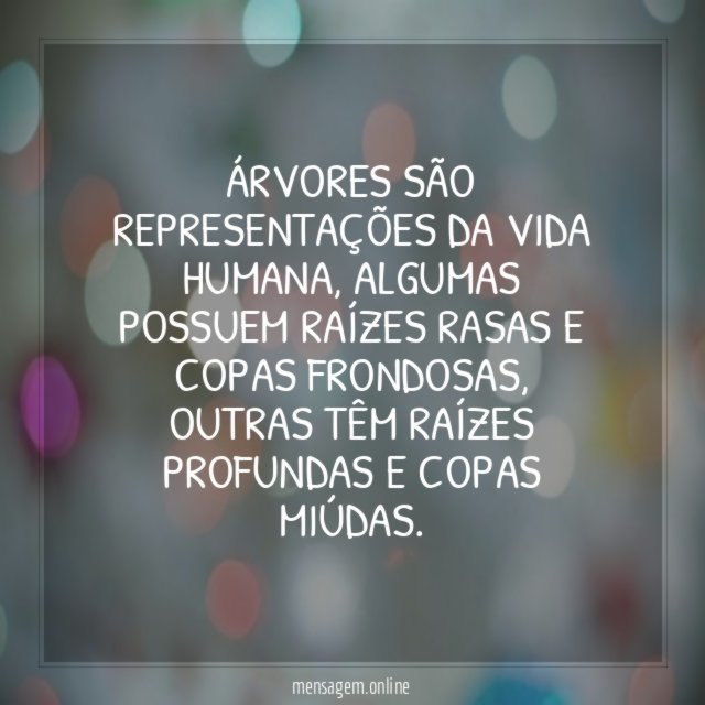 Árvores são representações da vida humana