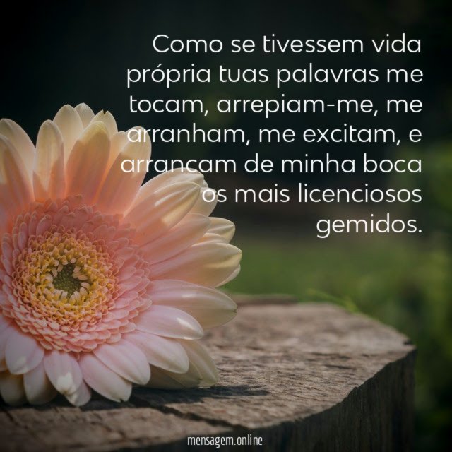 Como se tivessem vida própria tuas palavras me tocam