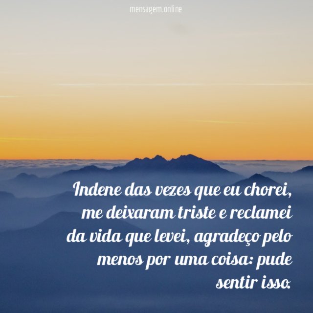 Indene das vezes que eu chorei