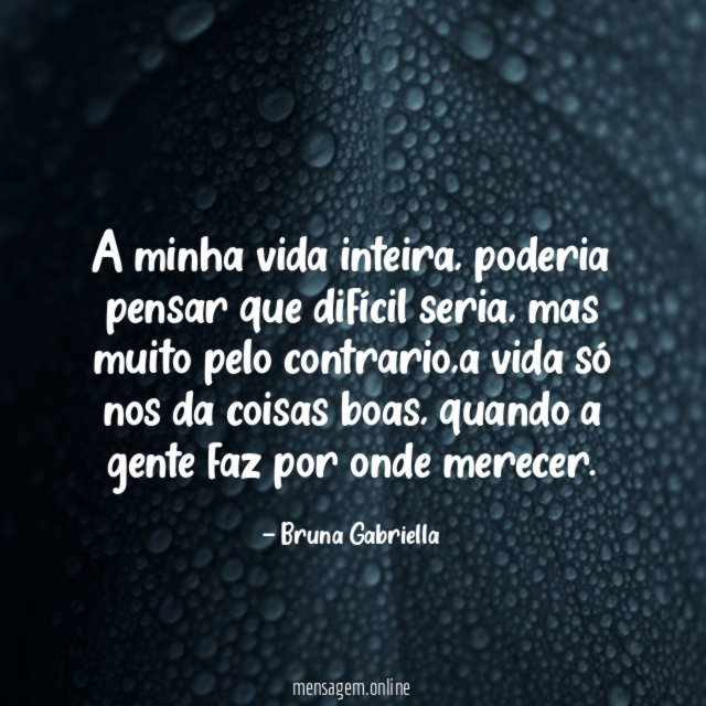A minha vida inteira