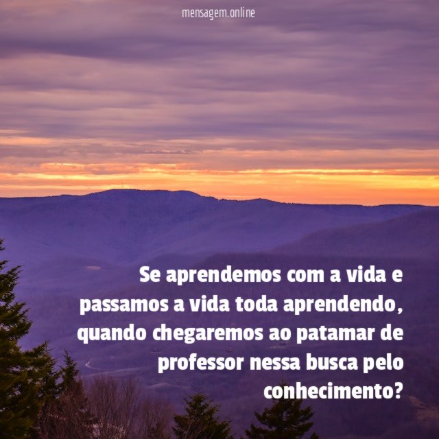 Se aprendemos com a vida e passamos a vida toda aprendendo