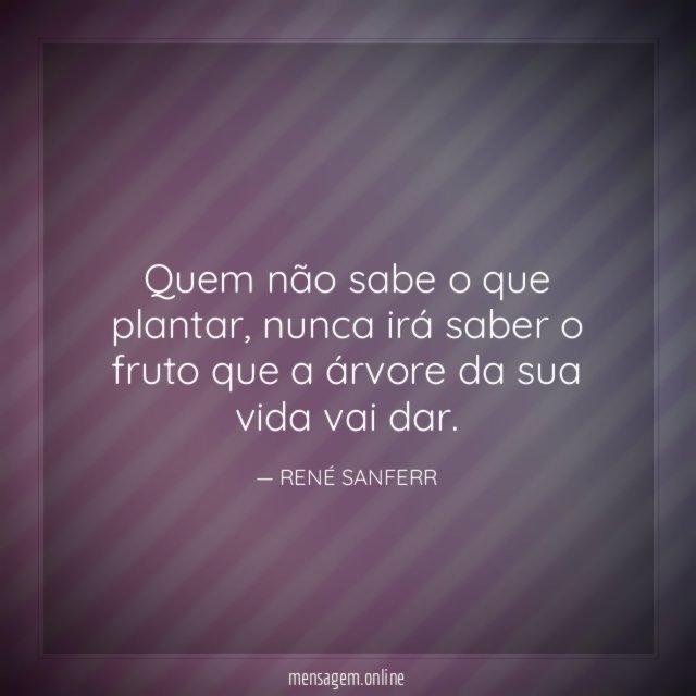Quem não sabe o que plantar