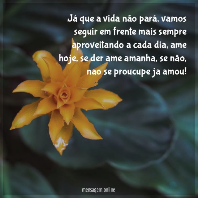 Já que a vida não pará