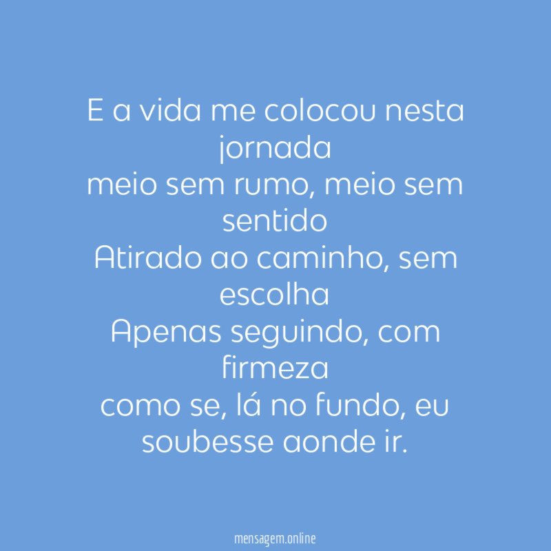 E a vida me colocou nesta jornada meio sem rumo