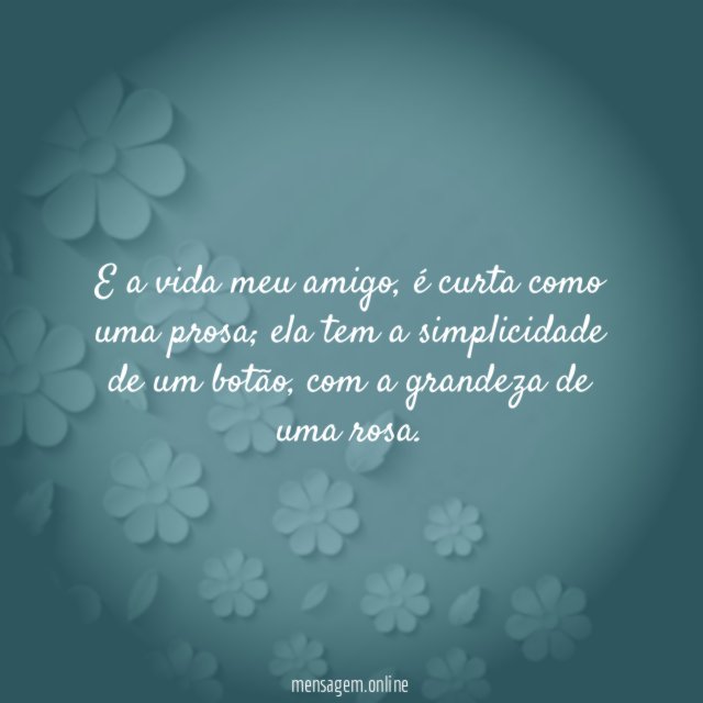 E a vida meu amigo