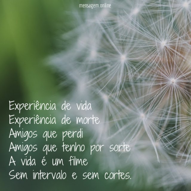 Experiência de vida Experiência de morte Amigos que perdi Amigos que