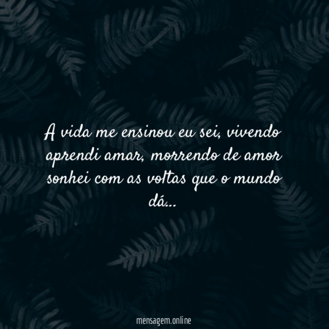 A vida me ensinou eu sei