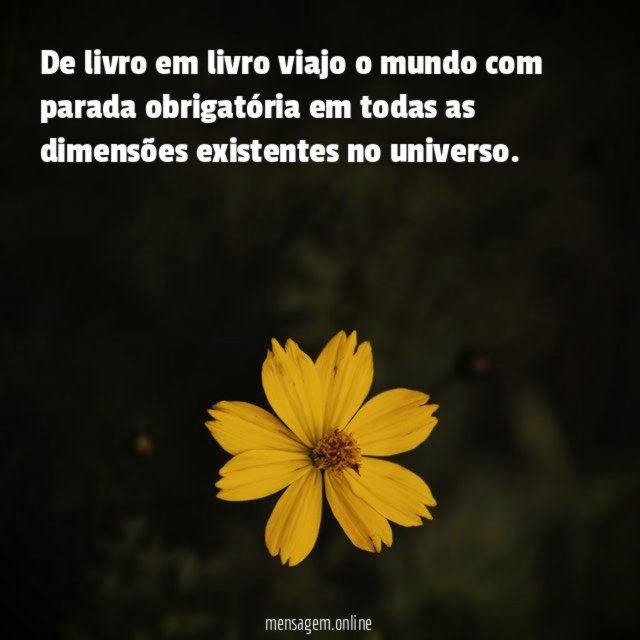De livro em livro viajo o mundo com