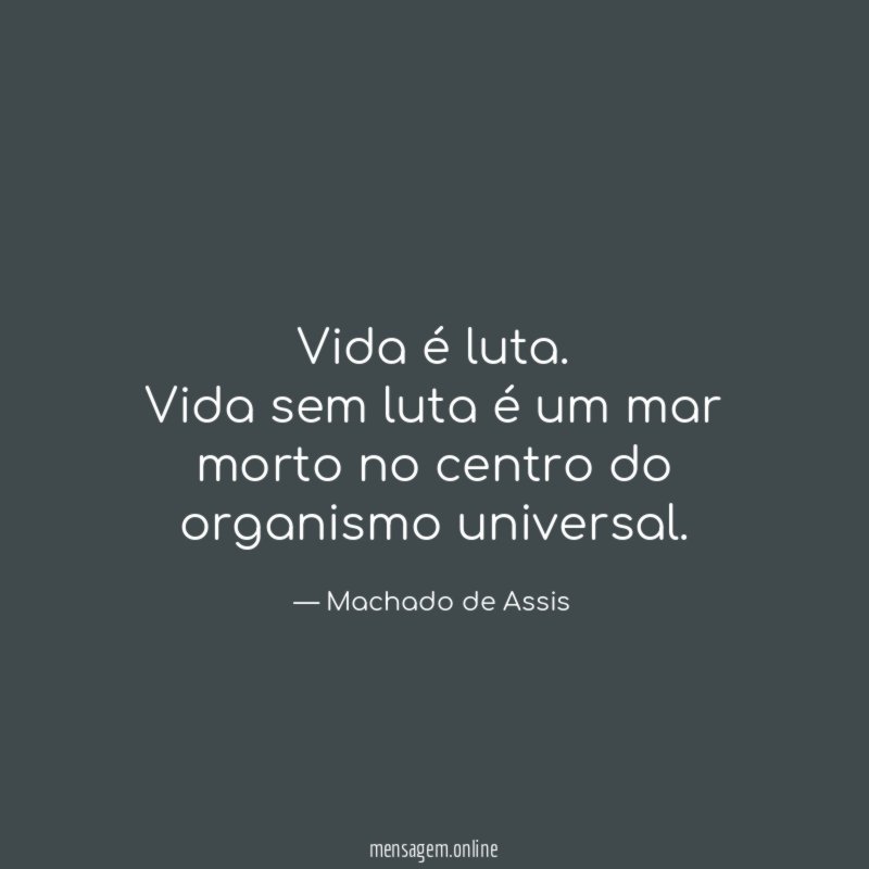 Vida é luta