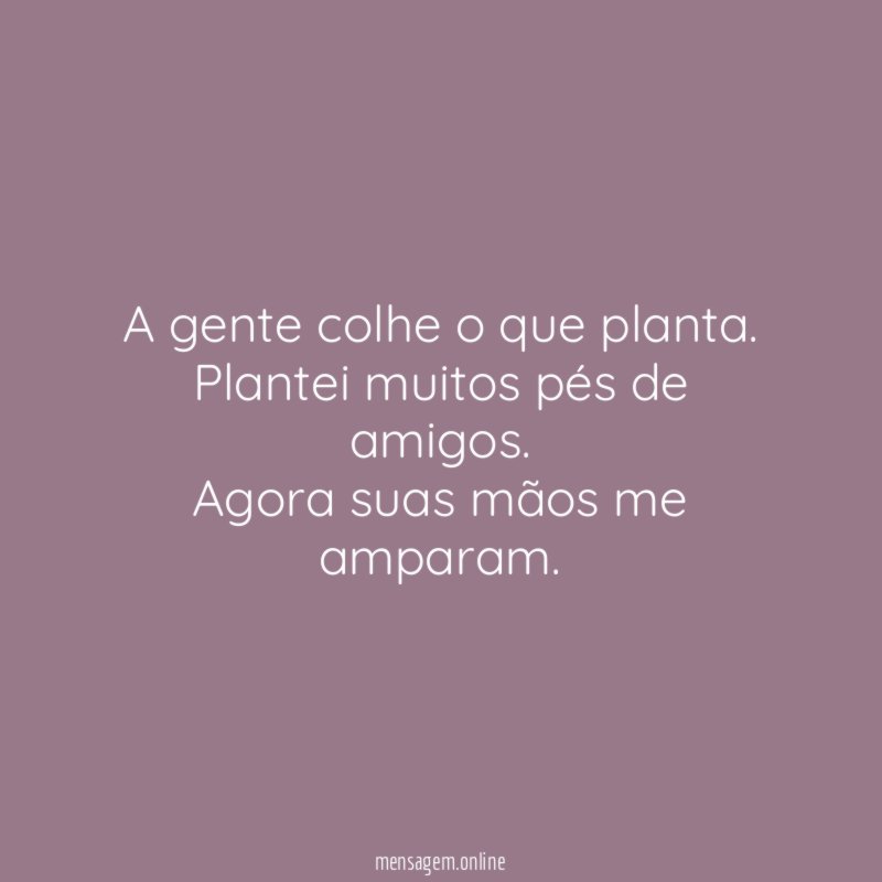 A gente colhe o que planta