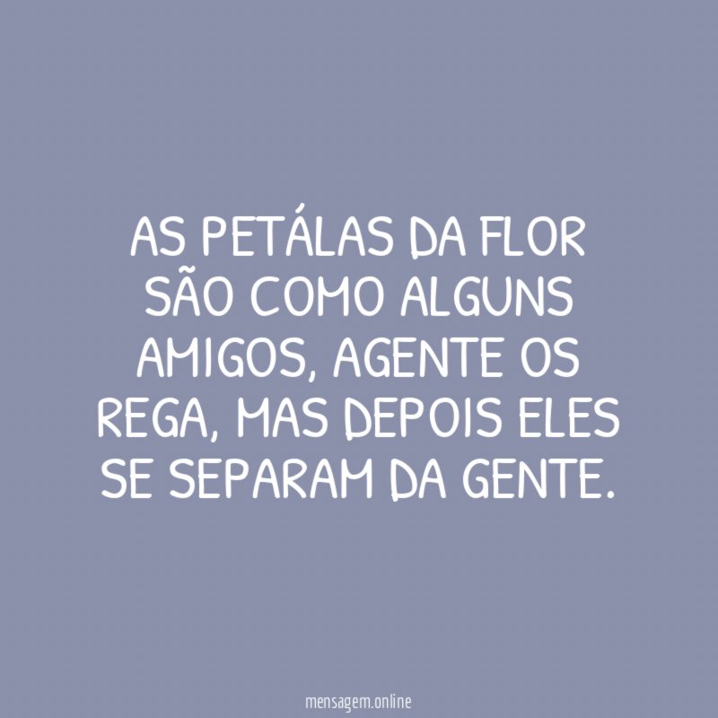 As petálas da flor são como alguns amigos