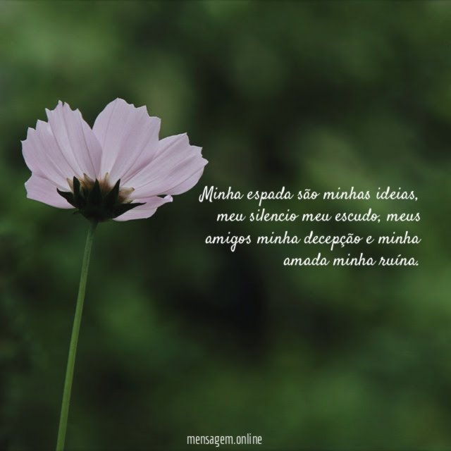 Minha espada são minhas ideias