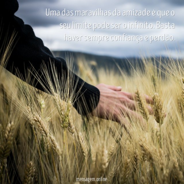 Uma das maravilhas da amizade é que