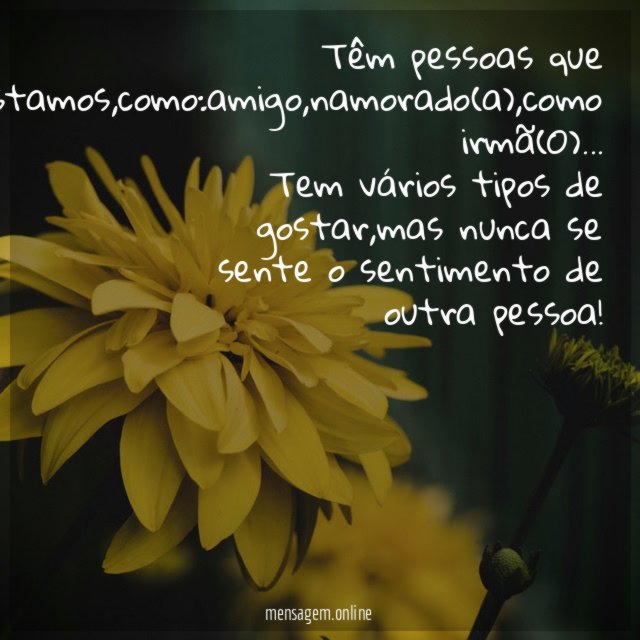 Têm pessoas que gostamos