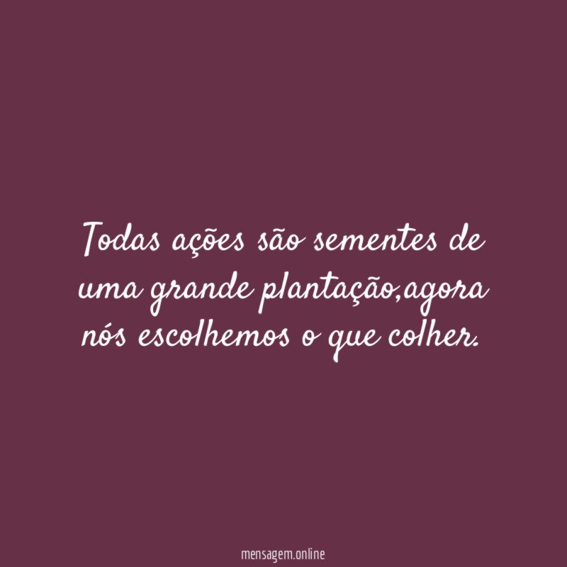 Todas ações são sementes de uma grande plantação