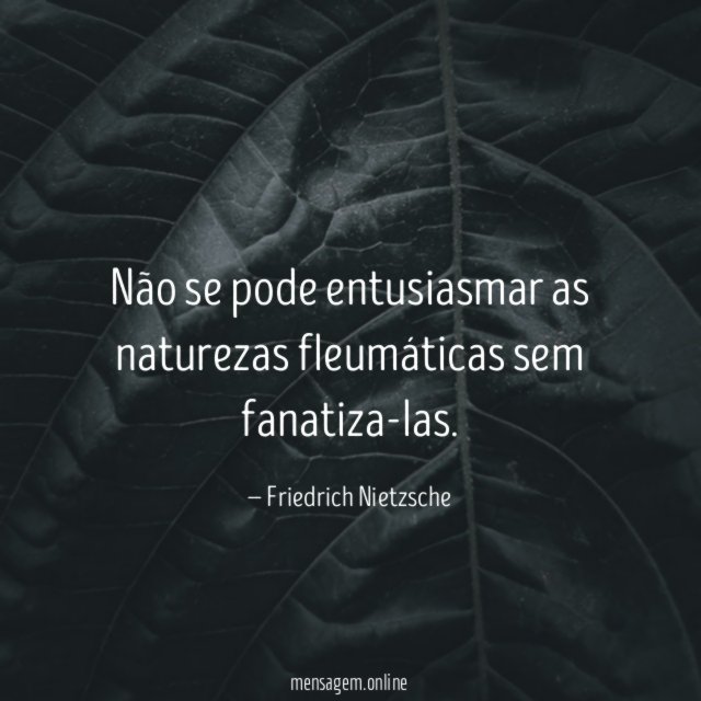 Não se pode entusiasmar as naturezas fleumáticas sem fanatiza-las