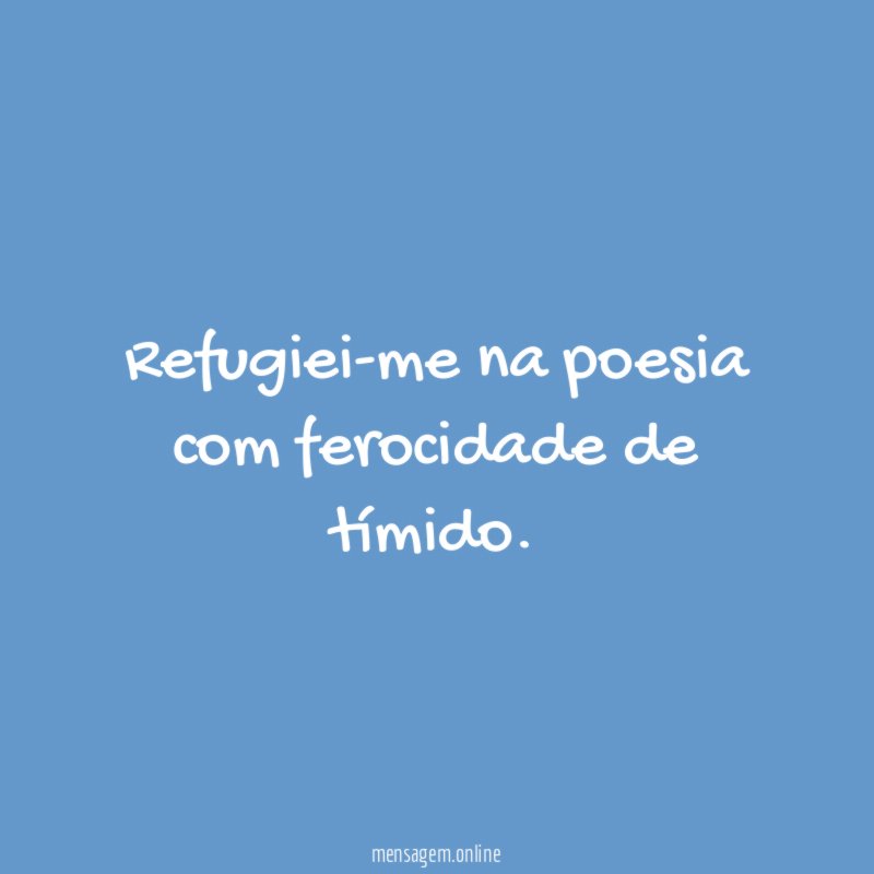 Refugiei-me na poesia com ferocidade de tímido