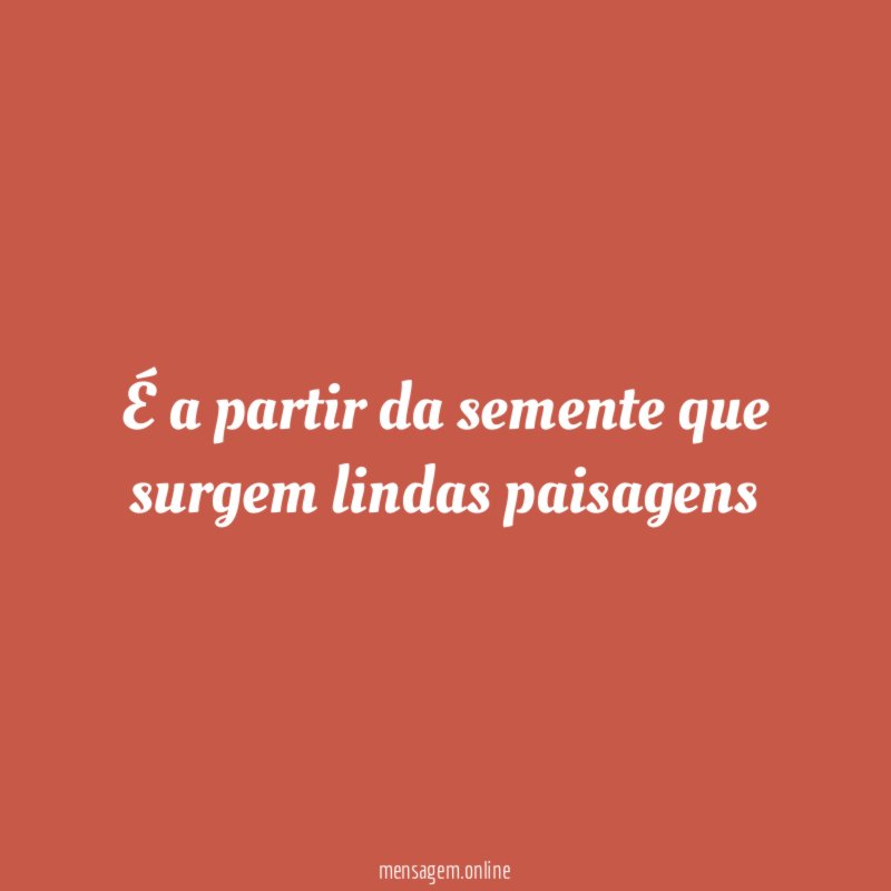 É a partir da semente que surgem lindas paisagens"