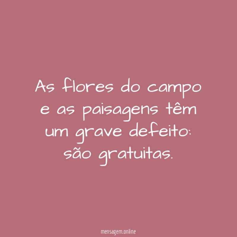 As flores do campo e as paisagens têm um grave defeito