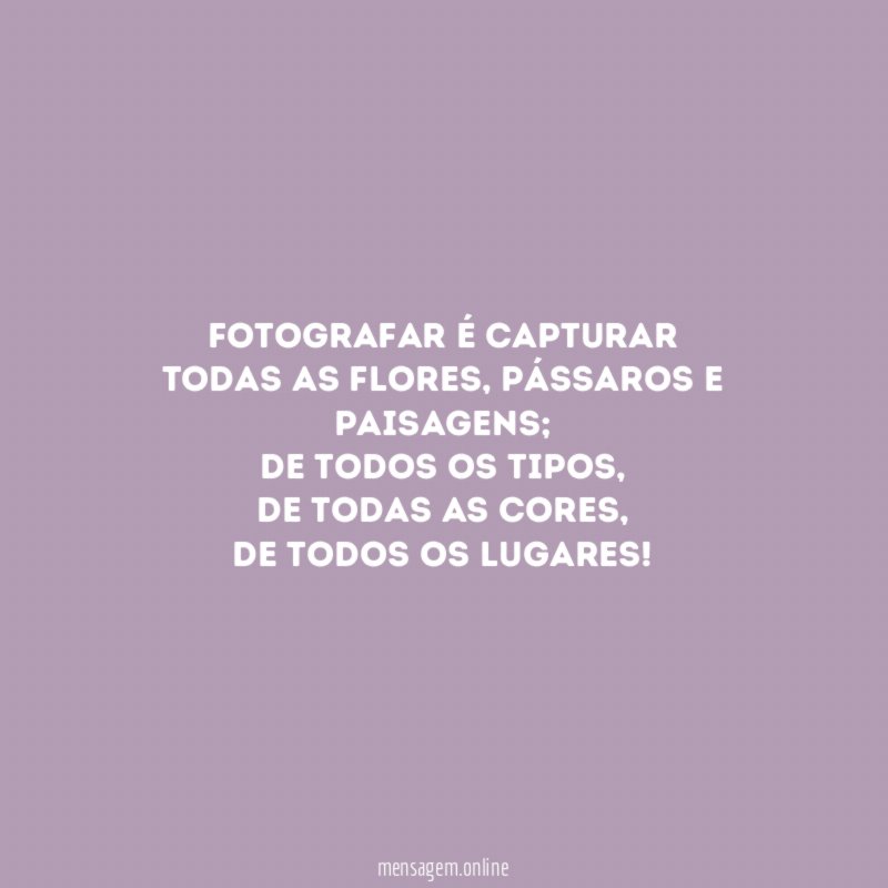 Fotografar é capturar Todas as flores