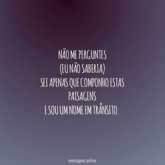 Não me perguntes
(eu não saberia)