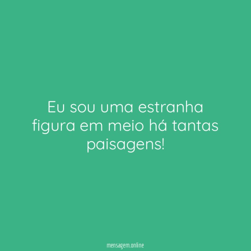 Eu sou uma estranha figura em meio há tantas paisagens
