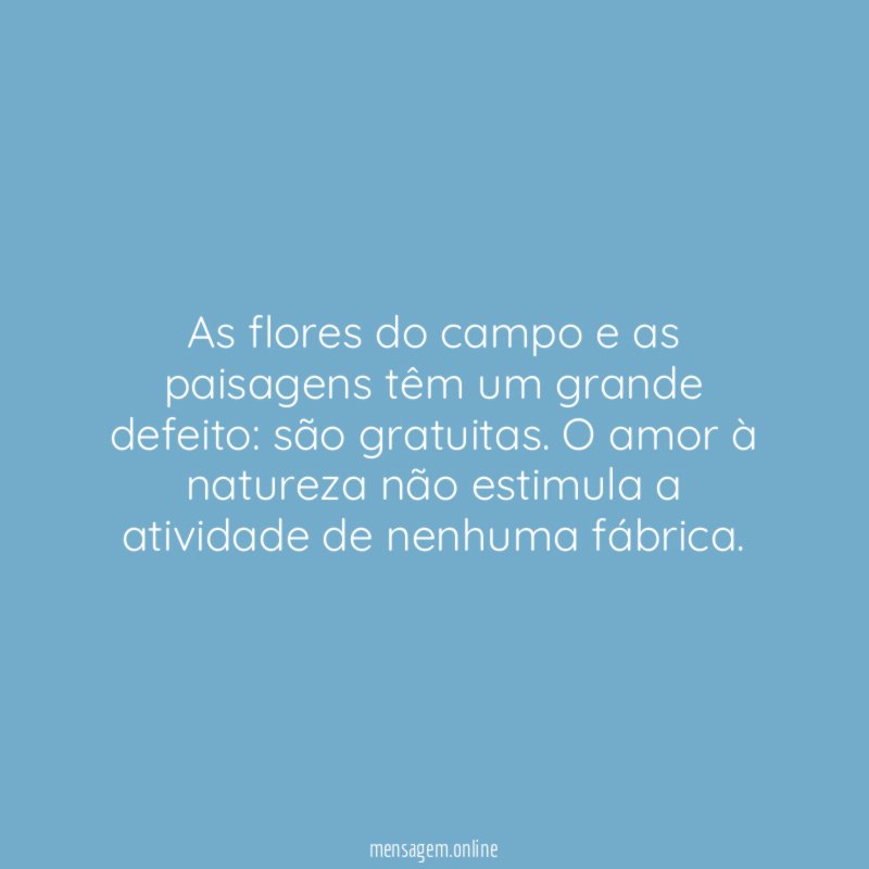 As flores do campo e as paisagens têm um grande defeito