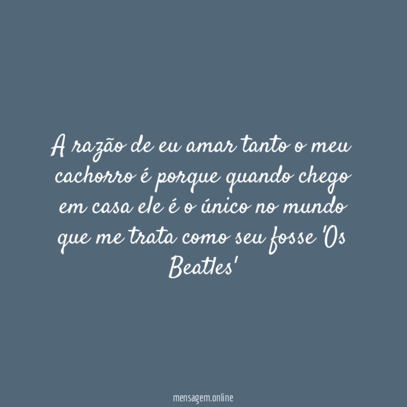 A razão de eu amar tanto o meu
