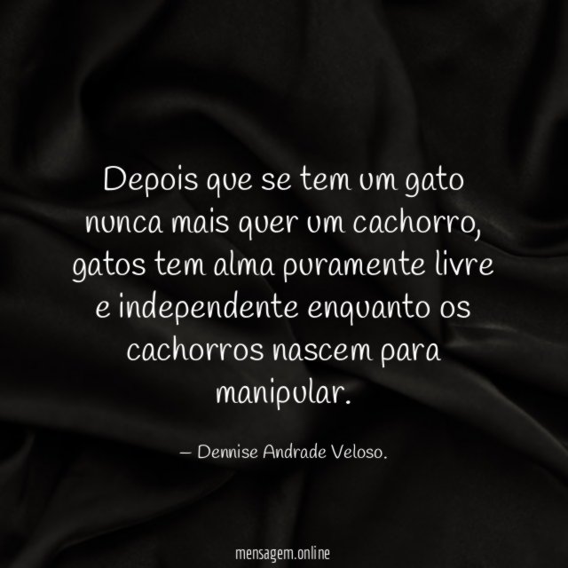 Depois que se tem um gato nunca mais quer um cachorro