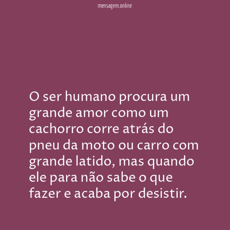 O ser humano procura um grande amor como