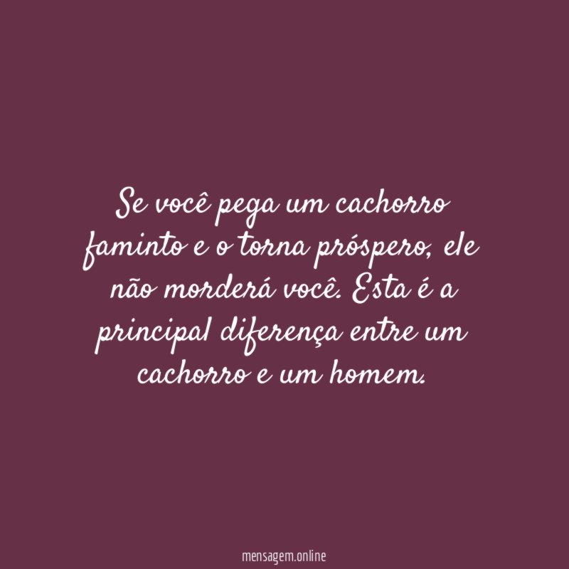 Se você pega um cachorro faminto e o torna próspero