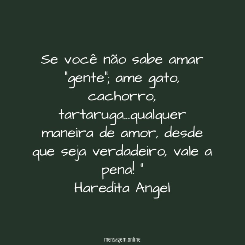 "Se você não sabe amar "gente"; ame gato, cachorro, tartaruga…qualquer maneira de amor, desde que seja verdadeiro, vale a pena!"