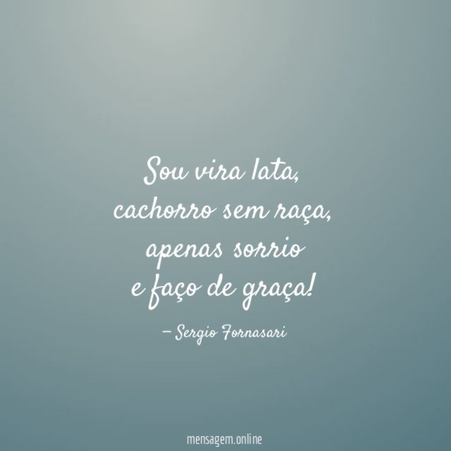 Sou vira lata