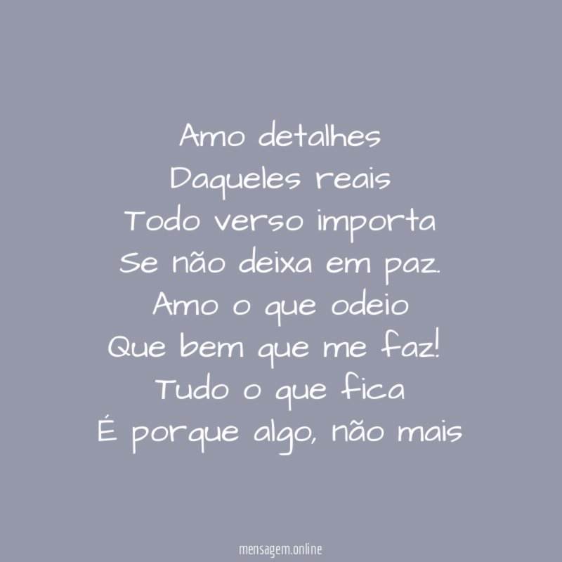 Amo detalhes Daqueles reais Todo verso importa Se não deixa em