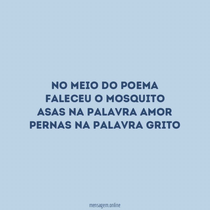No meio do poema faleceu o mosquito asas na palavra
