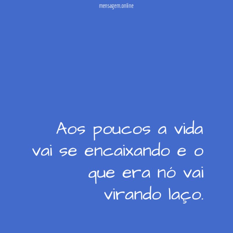 Aos poucos a vida vai se encaixando