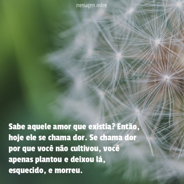Sabe aquele amor que existia