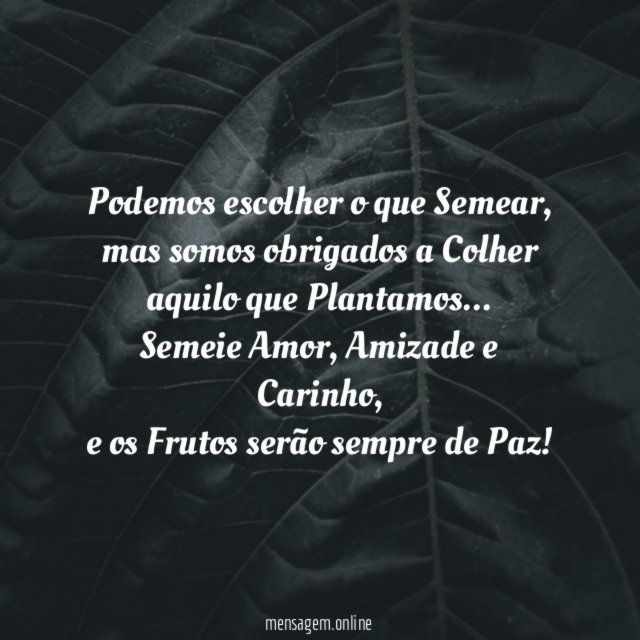 Podemos escolher o que Semear