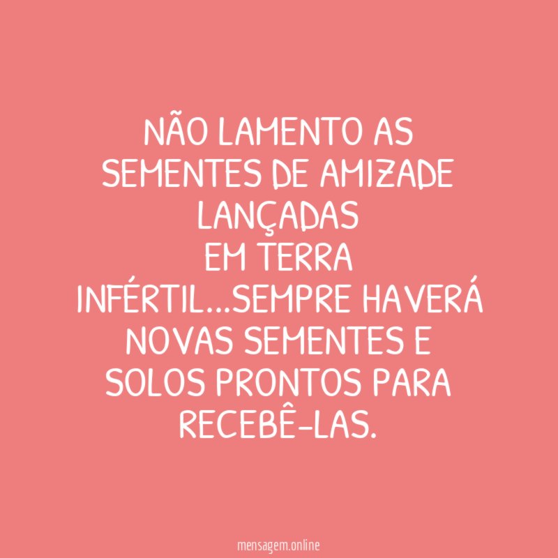 Não lamento as sementes de amizade lançadas em terra